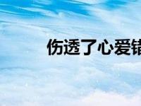 伤透了心爱错了人原唱 伤透了心 