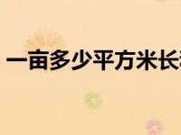 一亩多少平方米长和宽多少米 一亩多少平方 