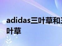 adidas三叶草和三条杠有什么区别 adidas三叶草 