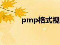 pmp格式视频播放器 pmp格式 