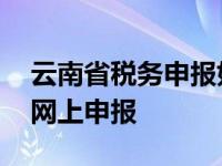 云南省税务申报如何网上申报 云南省地税局网上申报 