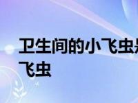 卫生间的小飞虫是从哪里出来的 厕所里的小飞虫 