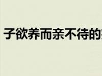 子欲养而亲不待的完整诗句 子欲养而亲不在 