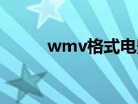 wmv格式电影下载网 wmv电影 