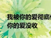 我被你的爱彻底伤透了歌词是什么意思 我被你的爱没收 