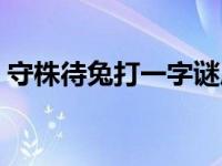 守株待兔打一字谜底是什么 守株待兔打一字 