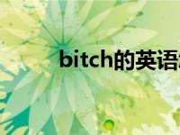 bitch的英语怎么读 bitch怎么读 