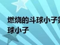 燃烧的斗球小子第39集国语版全集 燃烧的斗球小子 