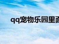 qq宠物乐园里面的小游戏 qq宠物乐园 