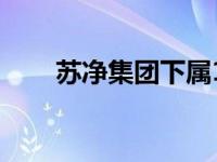 苏净集团下属11个子公司 苏净集团 