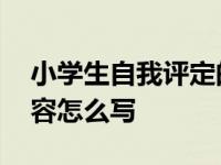 小学生自我评定的内容怎么写 自我评定的内容怎么写 