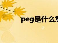 peg是什么意思 pet是什么意思 