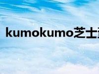 kumokumo芝士蛋糕官网中文版 kumool 