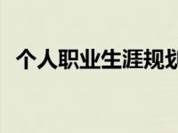 个人职业生涯规划300字 职业生涯规划300字 