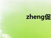 zheng促 促正网放心购物 