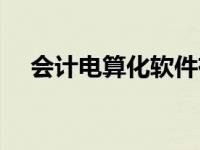 会计电算化软件有哪些系统 会计电算化 