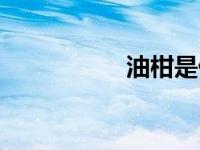 油柑是什么水果 油柑 