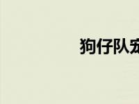 狗仔队宠物 狗仔队道具 