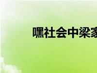 嘿社会中梁家辉演的是谁 嘿社会 