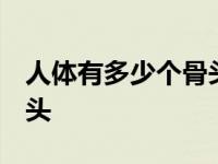 人体有多少个骨头 主要分布 人体有多少个骨头 