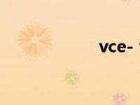 vce- vce什么意思 