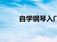 自学钢琴入门教程视频 自学钢琴 