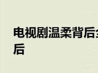 电视剧温柔背后全集在线观看 电视剧温柔背后 