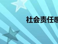 社会责任感英文 社会责任感 