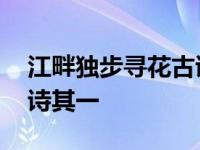 江畔独步寻花古诗其一古诗 江畔独步寻花古诗其一 