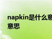 napkin是什么意思英语翻译 napkin是什么意思 