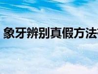 象牙辨别真假方法有哪些 象牙怎么辨别真假 