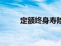 定额终身寿险的优点和缺点 定额 