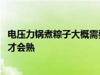 电压力锅煮粽子大概需要多长时间能熟 电压力锅煮粽子多久才会熟 