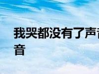 我哭都没有了声音是什么歌 我哭都没有了声音 