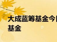 大成蓝筹基金今日净值天天基金网 大成蓝筹基金 