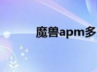 魔兽apm多少是高手 魔兽apm 