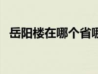 岳阳楼在哪个省哪个城市 岳阳楼在哪个省 