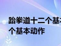 跆拳道十二个基本动作讲解视频 跆拳道十二个基本动作 