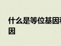 什么是等位基因和复等位基因 什么是等位基因 