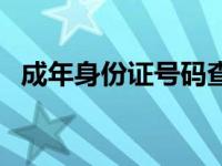 成年身份证号码查询系统 身份证成年查询 