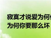 寂寞才说爱为何你要那么坏dj版 寂寞在说爱为何你要那么坏 