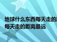 地球什么东西每天走的距离最远属什么生肖 地球上什么东西每天走的距离最远 