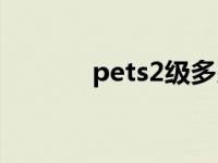 pets2级多少分算过了 pets2 