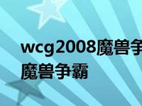 wcg2008魔兽争霸总决赛第三局 wcg2008魔兽争霸 