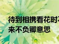 待到相携看花时不负如来不负卿意思 不负如来不负卿意思 