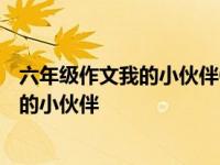 六年级作文我的小伙伴600字优秀作文怎么写 六年级作文我的小伙伴 