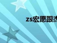 zs宏愿跟杰士有啥区别 zs宏 