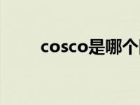 cosco是哪个国家的船公司 cosco 