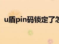 u盾pin码锁定了怎么解锁 u盾pin码是什么 