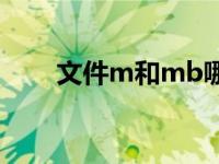 文件m和mb哪个大 m和mb哪个大 